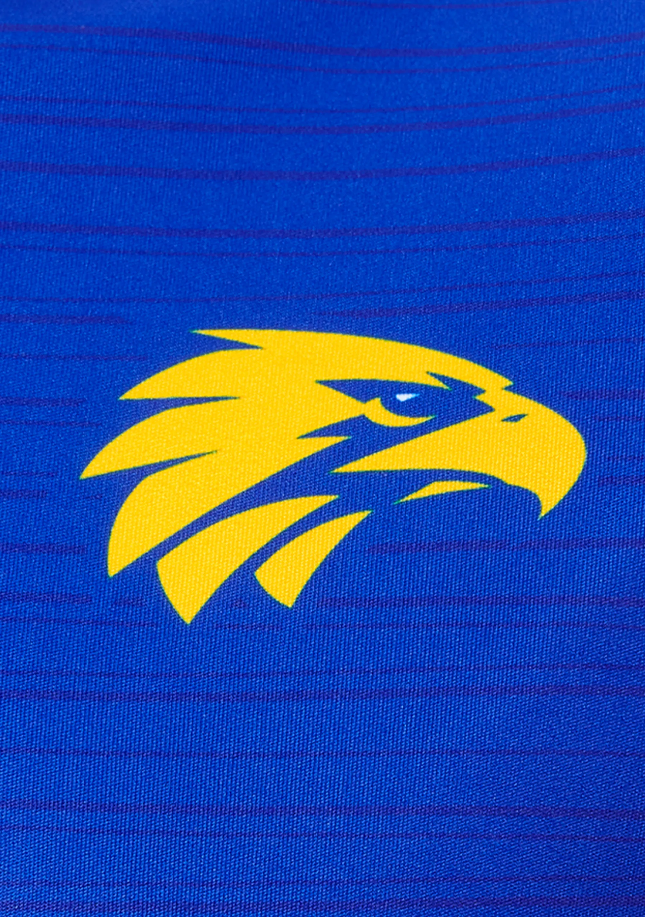 Castore West Coast Eagles T-shirt d'entraînement pour homme 2022 <br> TM0476