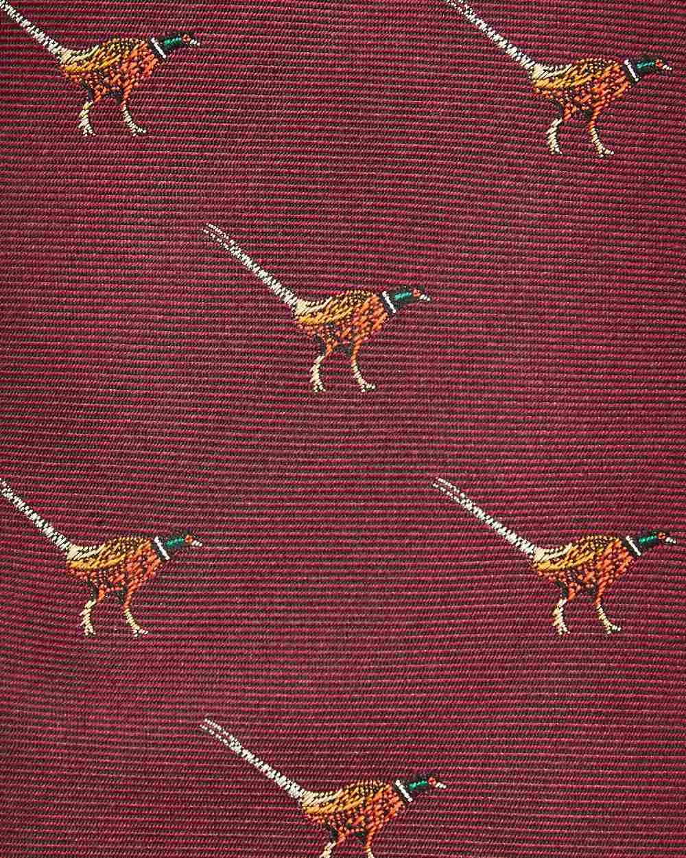 Vêtements Dubarry Cravate en Soie Dubarry Mens Madden