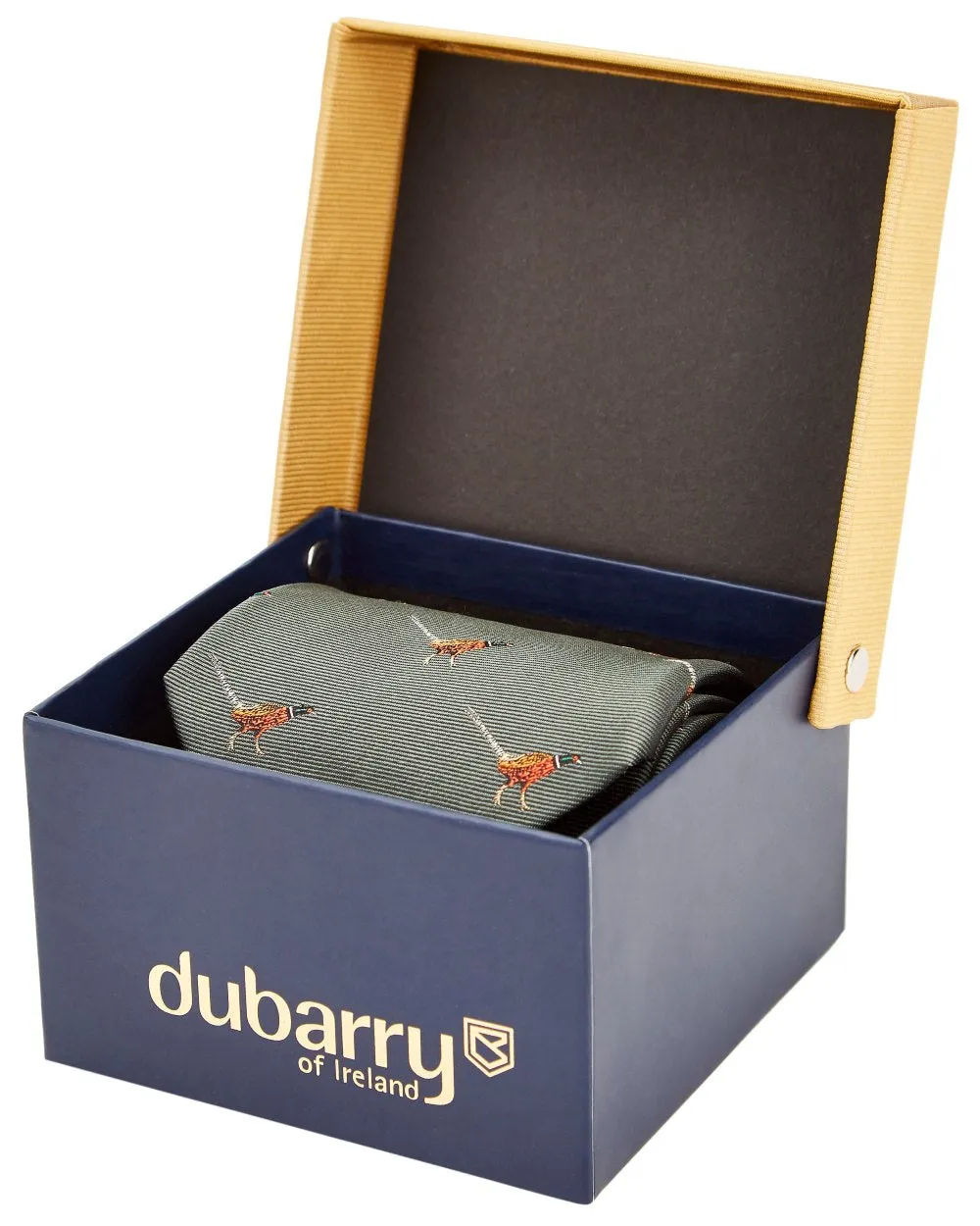 Vêtements Dubarry Cravate en Soie Dubarry Mens Madden