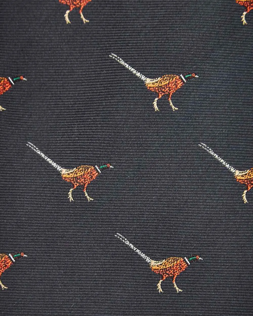 Vêtements Dubarry Cravate en Soie Dubarry Mens Madden
