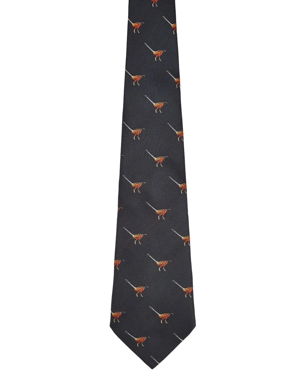 Vêtements Dubarry Cravate en Soie Dubarry Mens Madden
