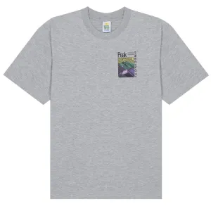 T-shirt Hikerdelic Hotel SS Gris Chiné
