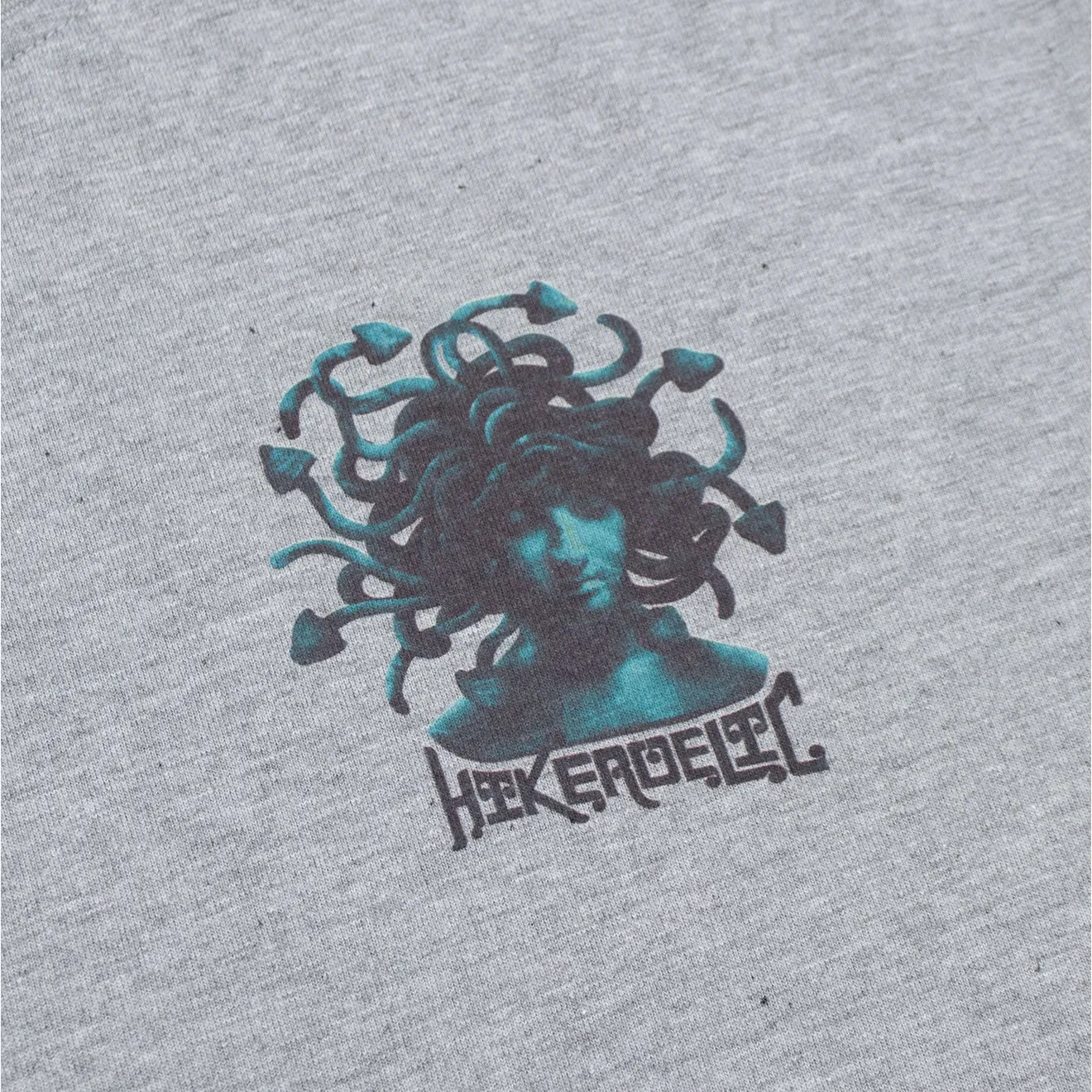 T-shirt Hikerdelic Mythology SS Gris Chiné