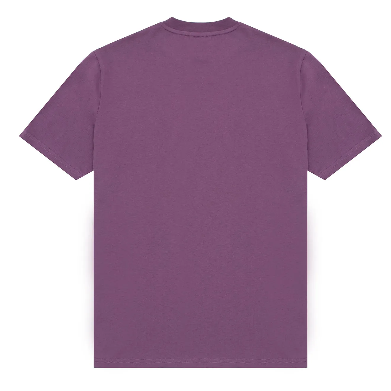 T-shirt Hikerdelic Perfect Dream SS - Chardon