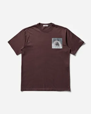 T-shirt Robert Bosisio pour Homme Gris Marron